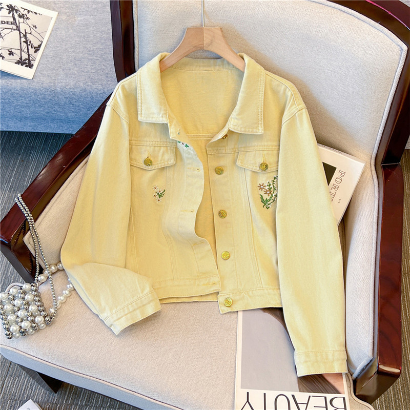Корейская винтажная джинсовая  – обзор и цена Embroidery Jacket Jeans