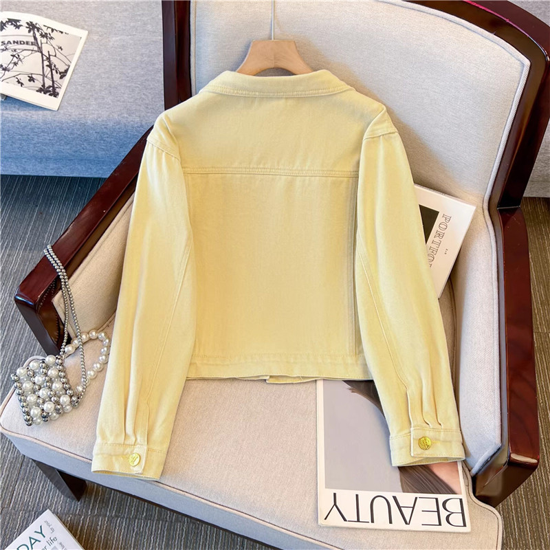 Корейская винтажная джинсовая  – обзор и цена Embroidery Jacket Jeans